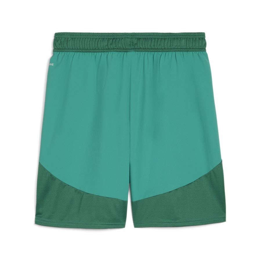 PUMA Team Final Shorts