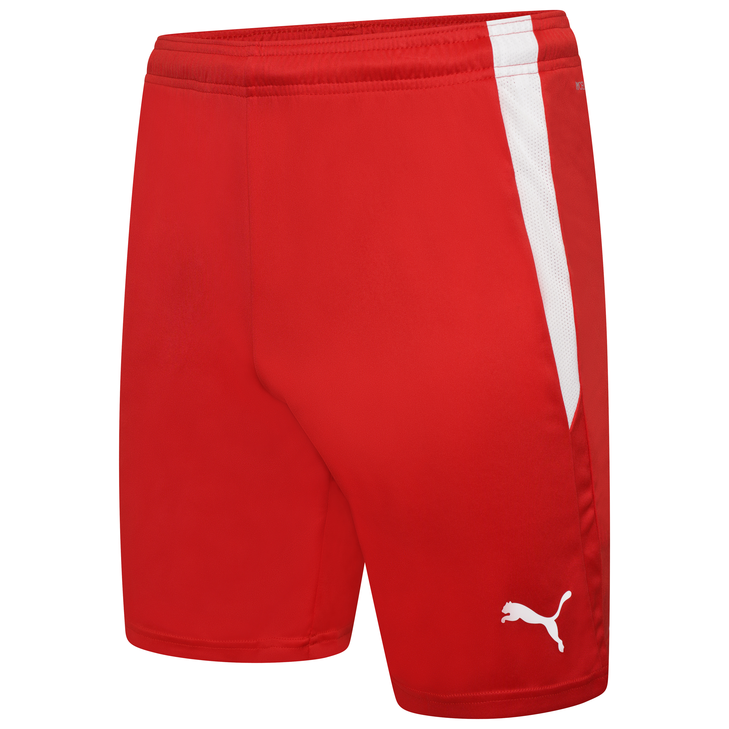 Puma Team Liga Shorts