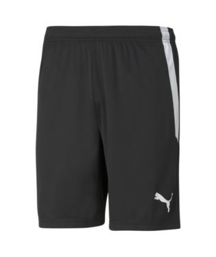 Puma Team Liga Shorts