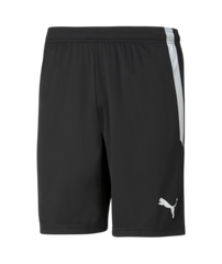 Puma Team Liga Shorts