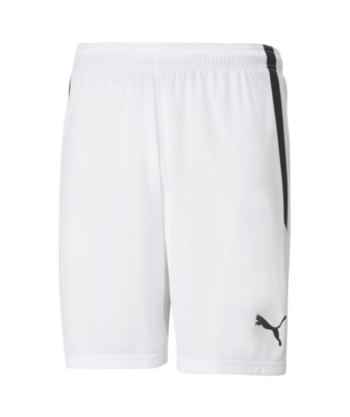 Puma Team Liga Shorts