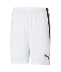 Puma Team Liga Shorts