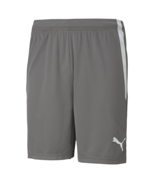 Puma Team Liga Shorts