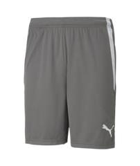 Puma Team Liga Shorts