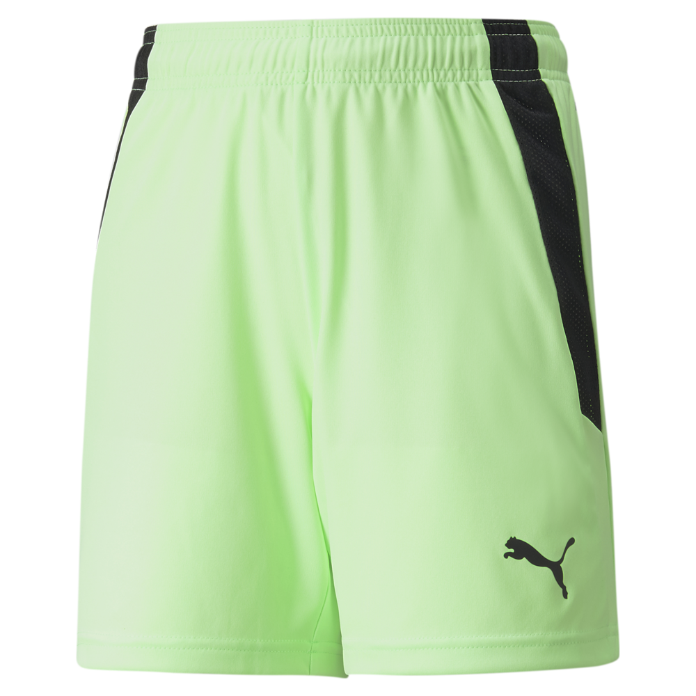 Puma Team Liga Shorts