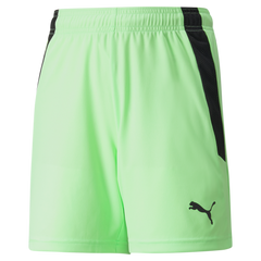 Puma Team Liga Shorts