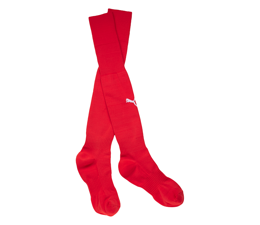 Puma Team Sock