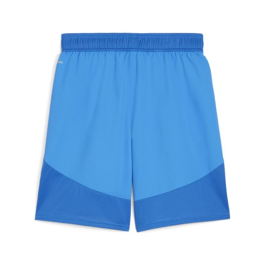 PUMA Team Final Shorts