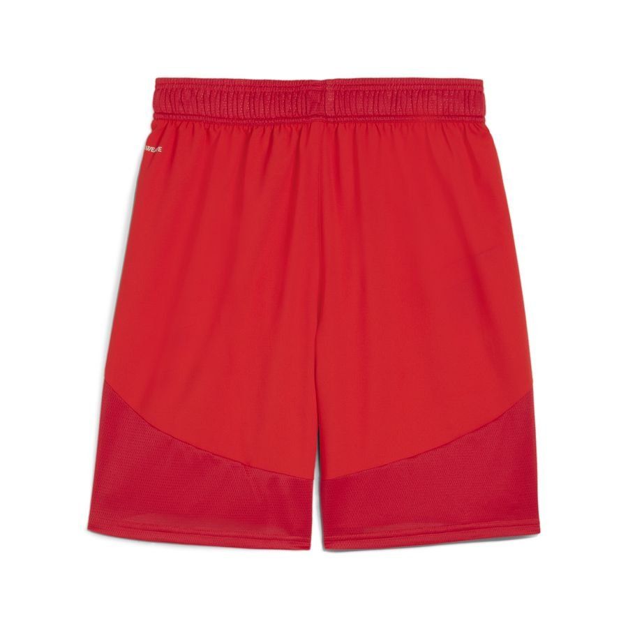 PUMA Team Final Shorts