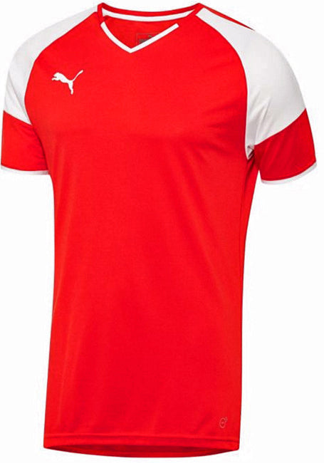 PUMA Borussia Jersey