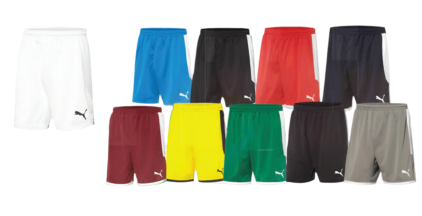 PUMA Borussia Shorts