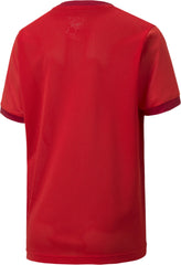 PUMA Youth TeamGOAL 23 Jersey JR