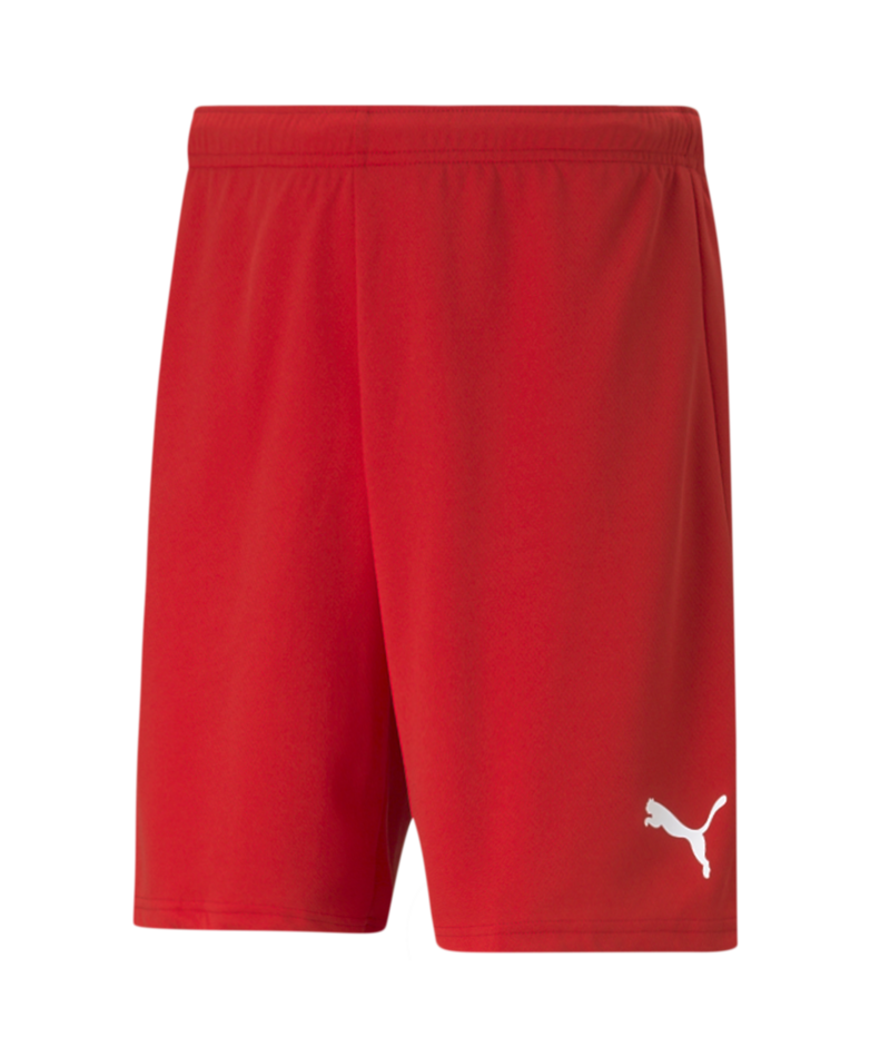 Puma Team Rise Shorts