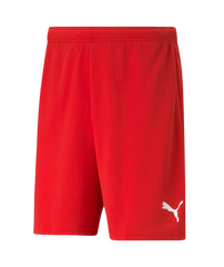 Puma Team Rise Shorts