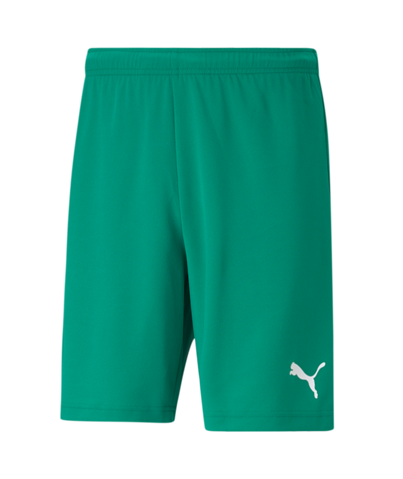 Puma Team Rise Shorts