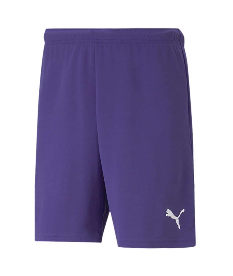 Puma Team Rise Shorts