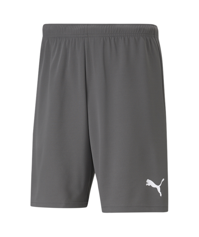 Puma Team Rise Shorts