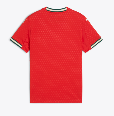 Puma Youth Portugal Home Jersey Replica 25