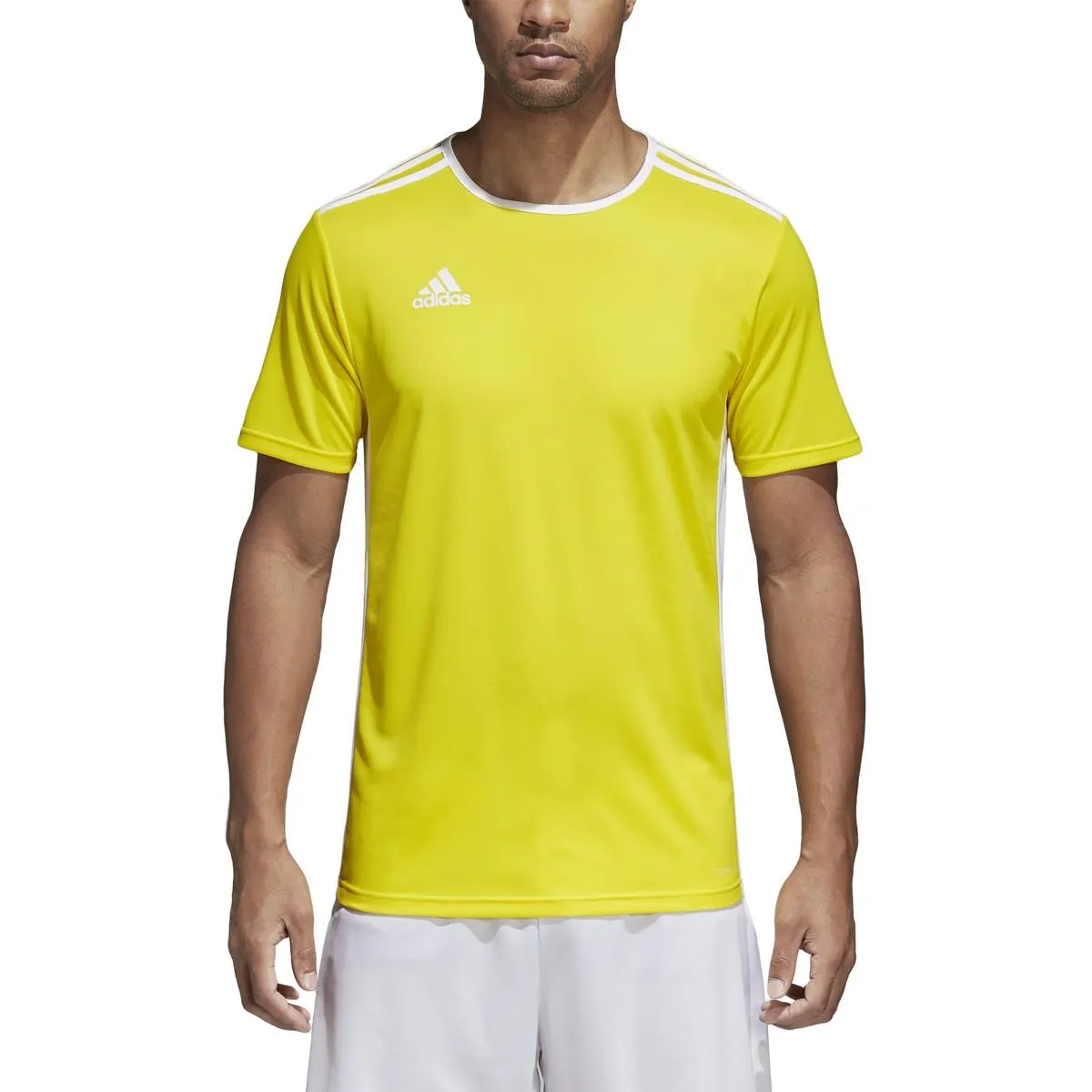 adidas Entrada 18 Jersey