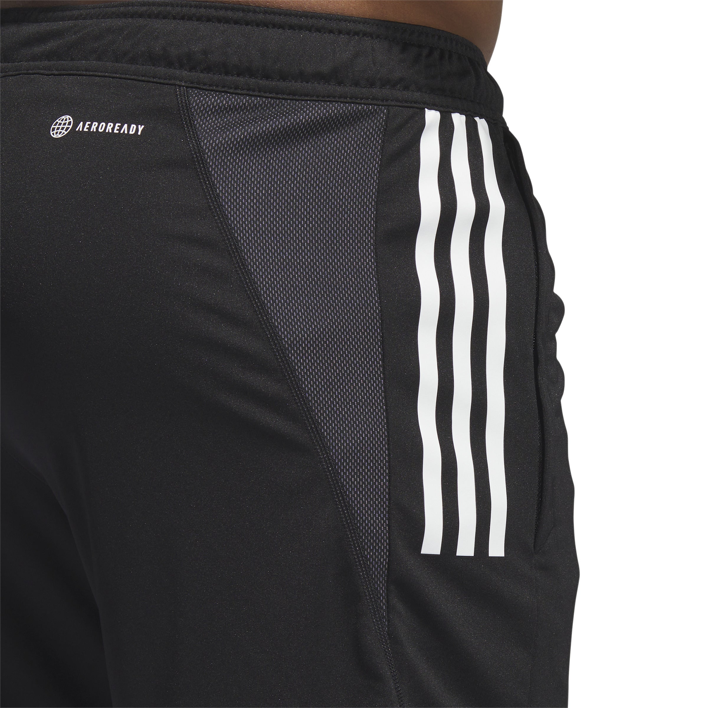 adidas Tiro 23 Charlotte Training Short