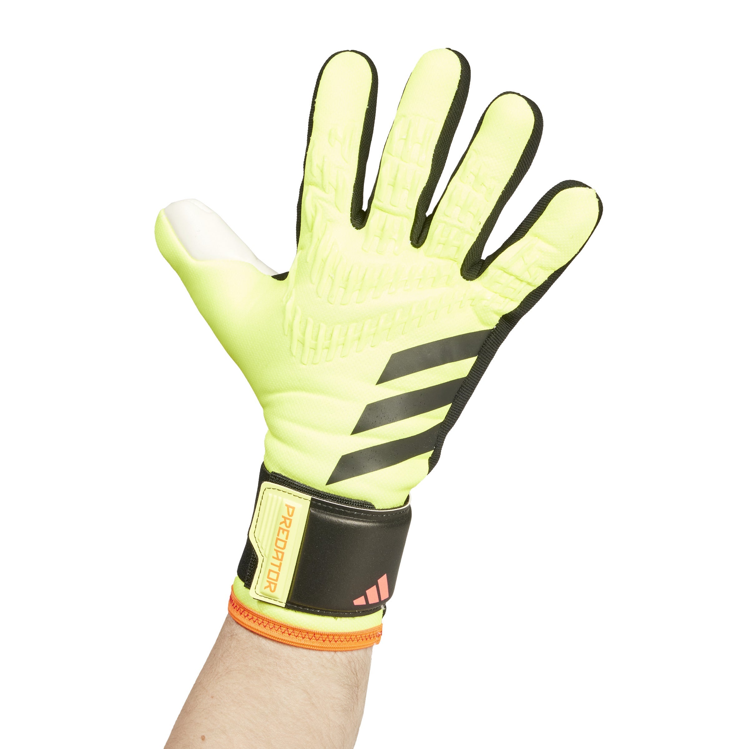 Adidas world cup goalkeeper gloves 2018 best sale