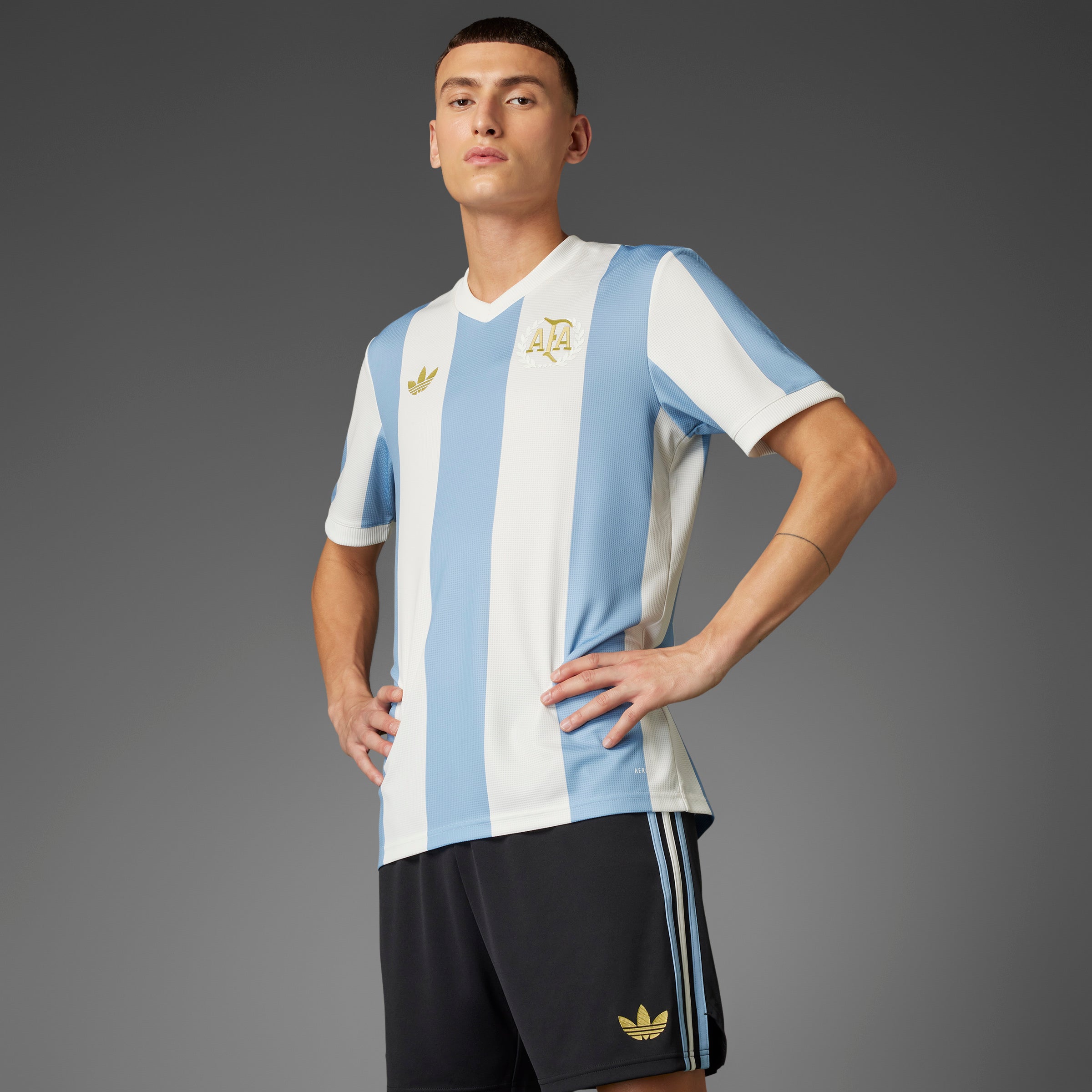 adidas Argentina Anniversary Jersey 24/25 Sky/White