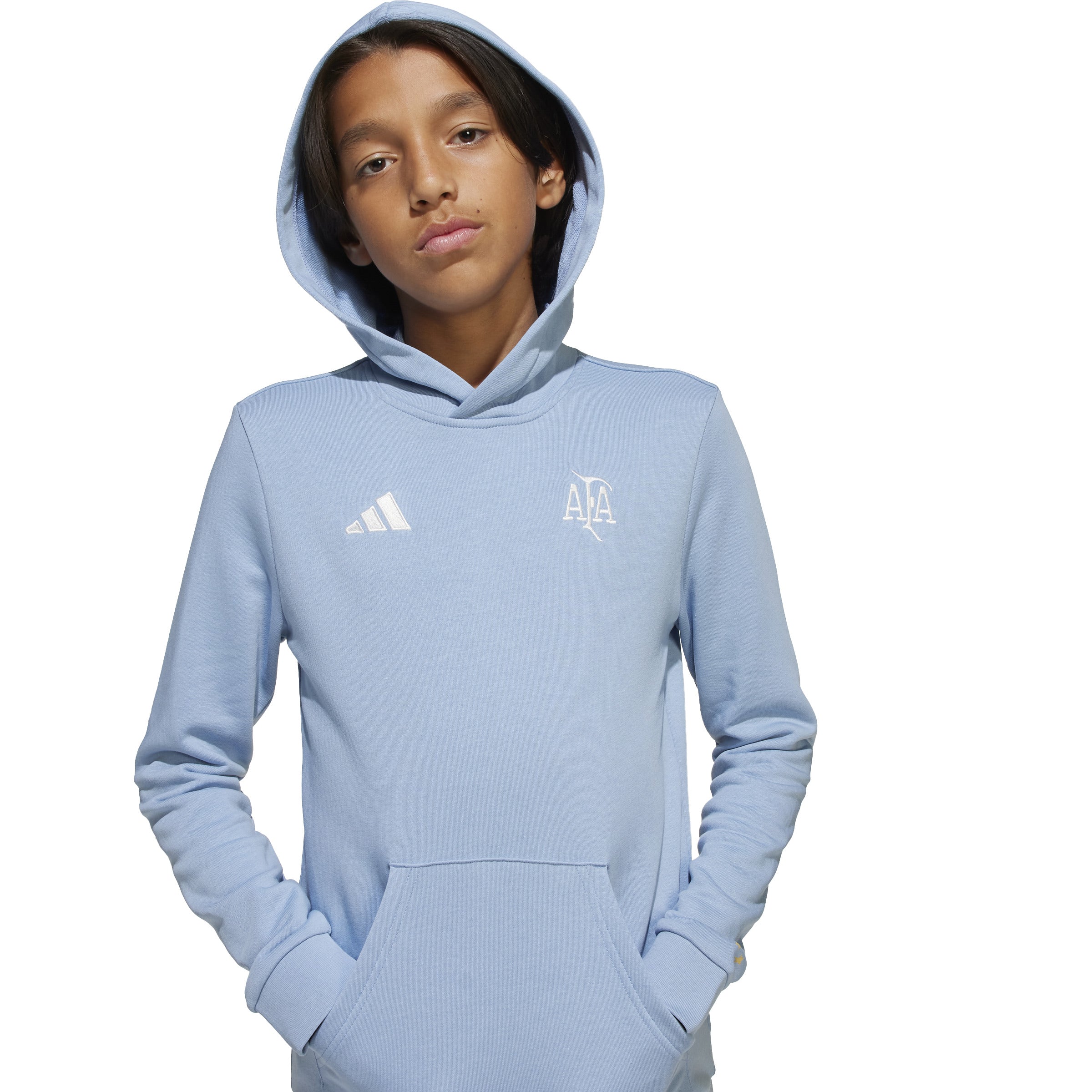 adidas Argentina Anniversary DNA Hoodie Sky/White