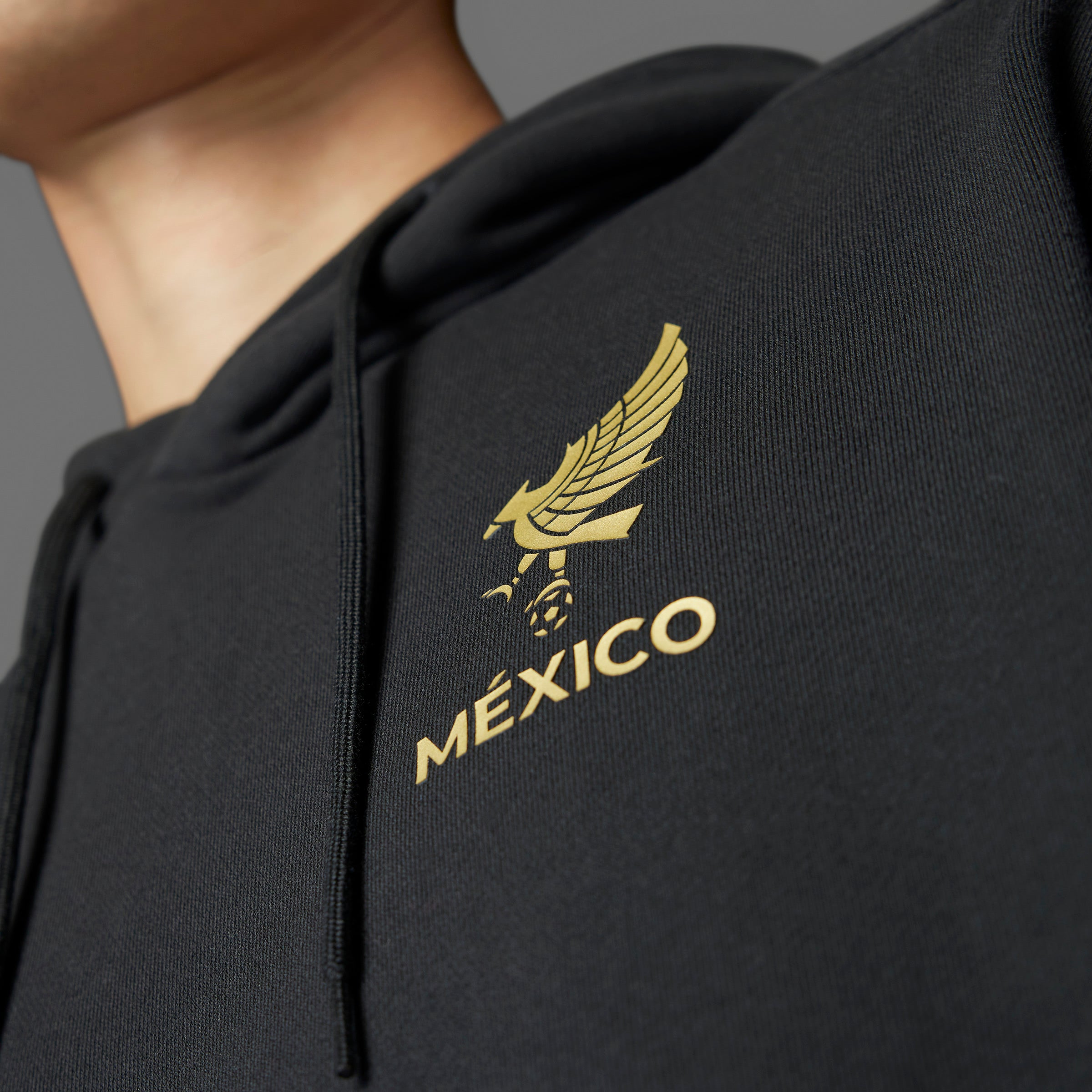 Sudadera con capucha negra con el ADN de México dorado