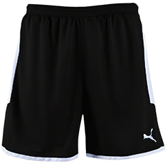 PUMA Borussia Shorts