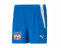 CVYSA Puma Team Liga Women's Shorts