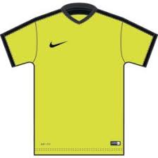 Nike US Striker IV Jersey