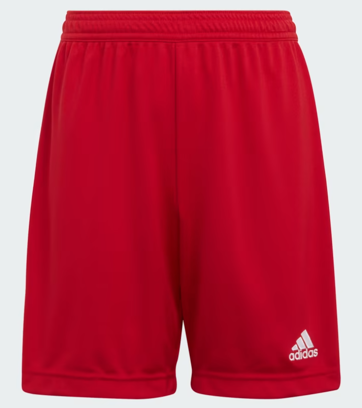 adidas Entrada adidas 22 Shorts