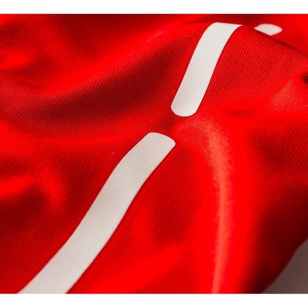 Camiseta local PUMA Suiza 14 Rojo/