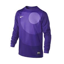 Camiseta de portero Nike LS Park IV