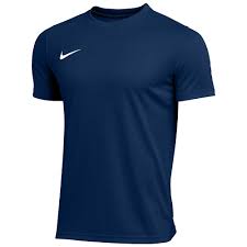 Nike Youth Dri Fit Park VIII Jersey