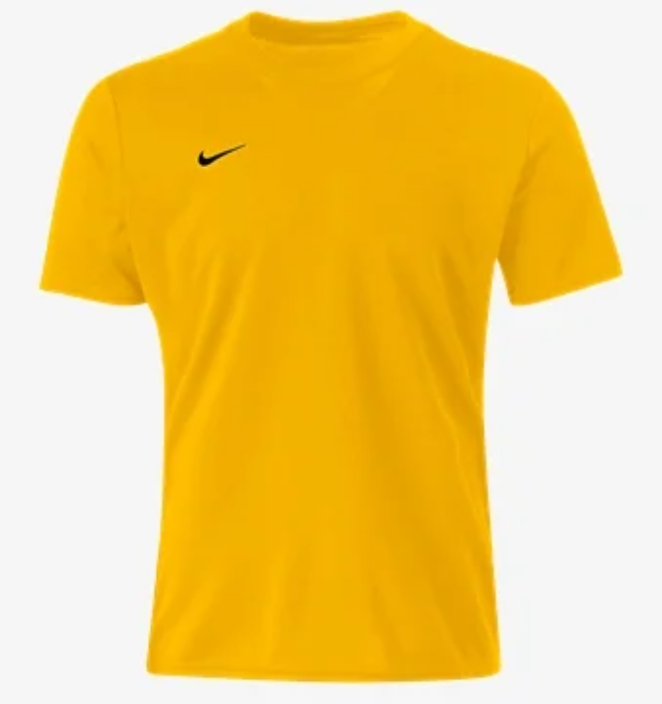 Nike Youth Dri Fit Park VIII Jersey