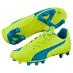 Puma evospeed frame online