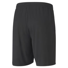 Puma Team Goal 23 Knit Shorts Ste