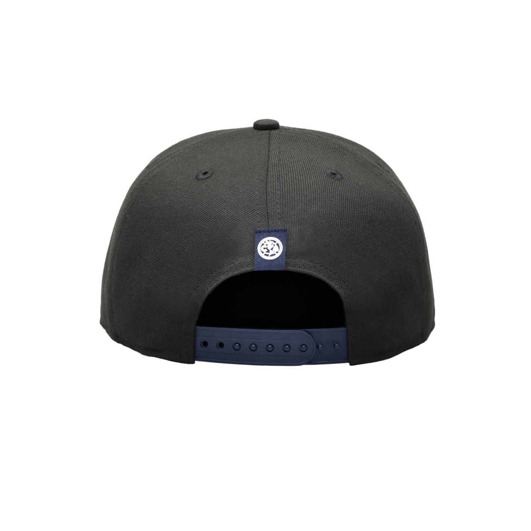 Gorra del equipo FANINK